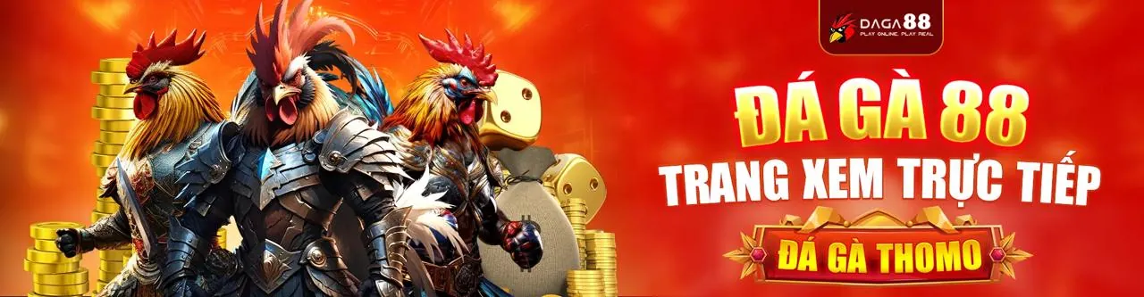Sân đấu đá gà trực tuyến sôi động tại Haywin Login