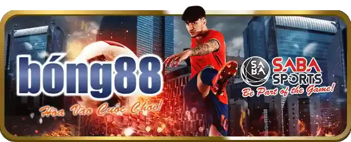 Cá cược thể thao haywin login